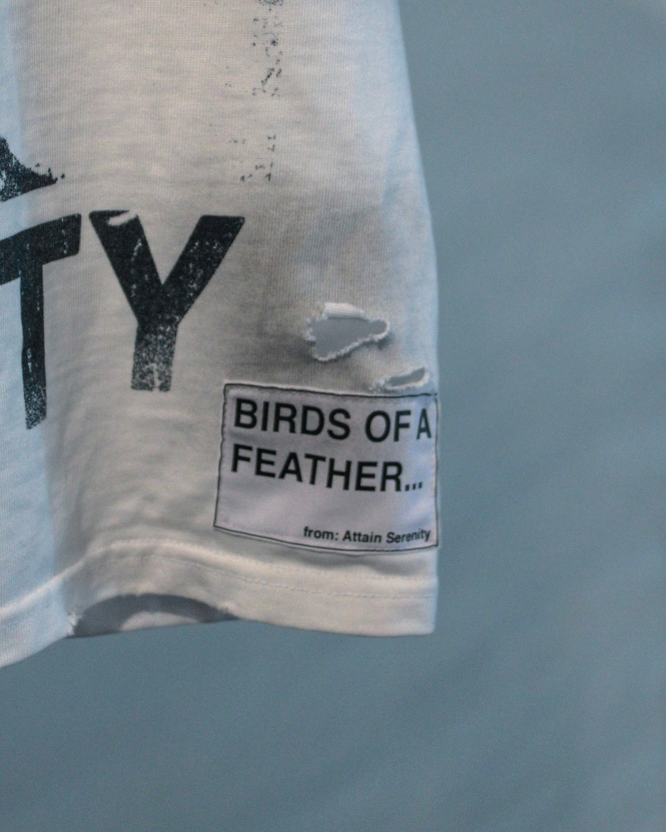 "BIRDS OF A FEATHER" T-Shirt